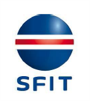 SF IT UK (logótipo)
